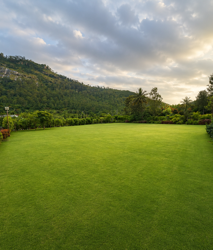lawn-new(1)