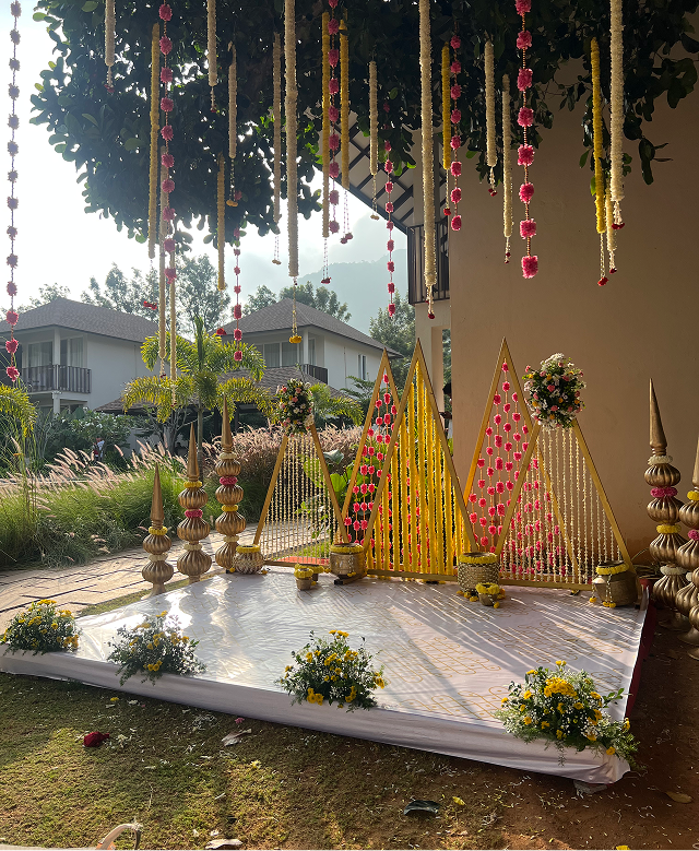treearena-wedding